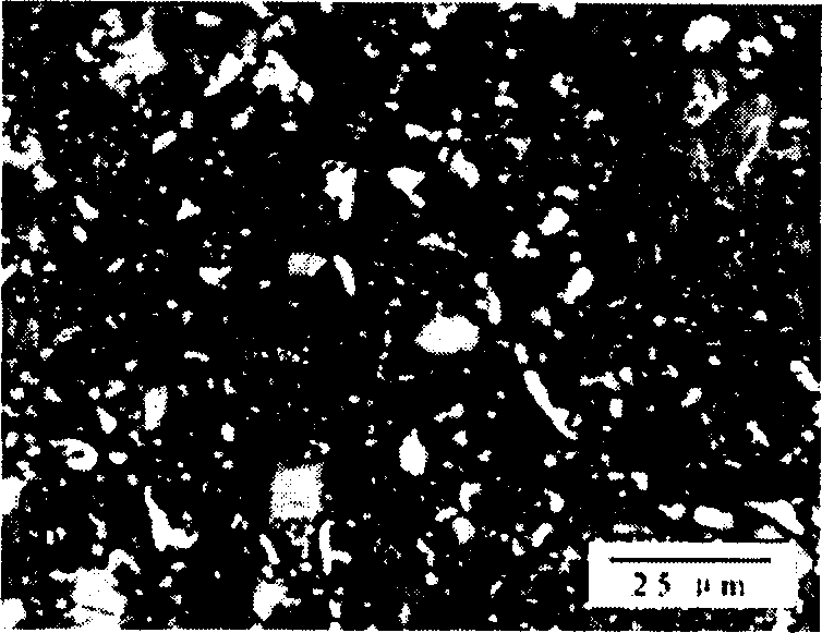 Composite Ti-HA material and its preparing process