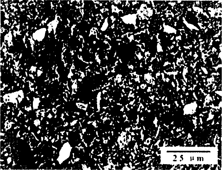 Composite Ti-HA material and its preparing process