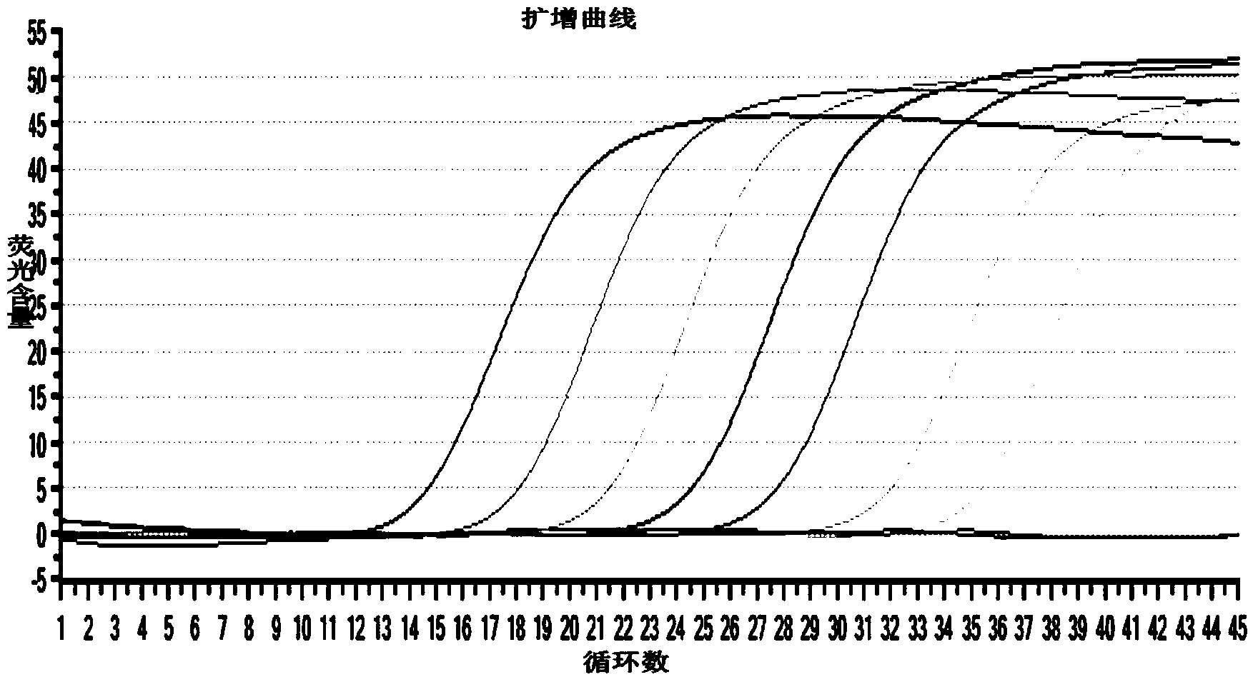 Porcine Sapelovirus real-time fluorescent quantitative RT-PCR detection method