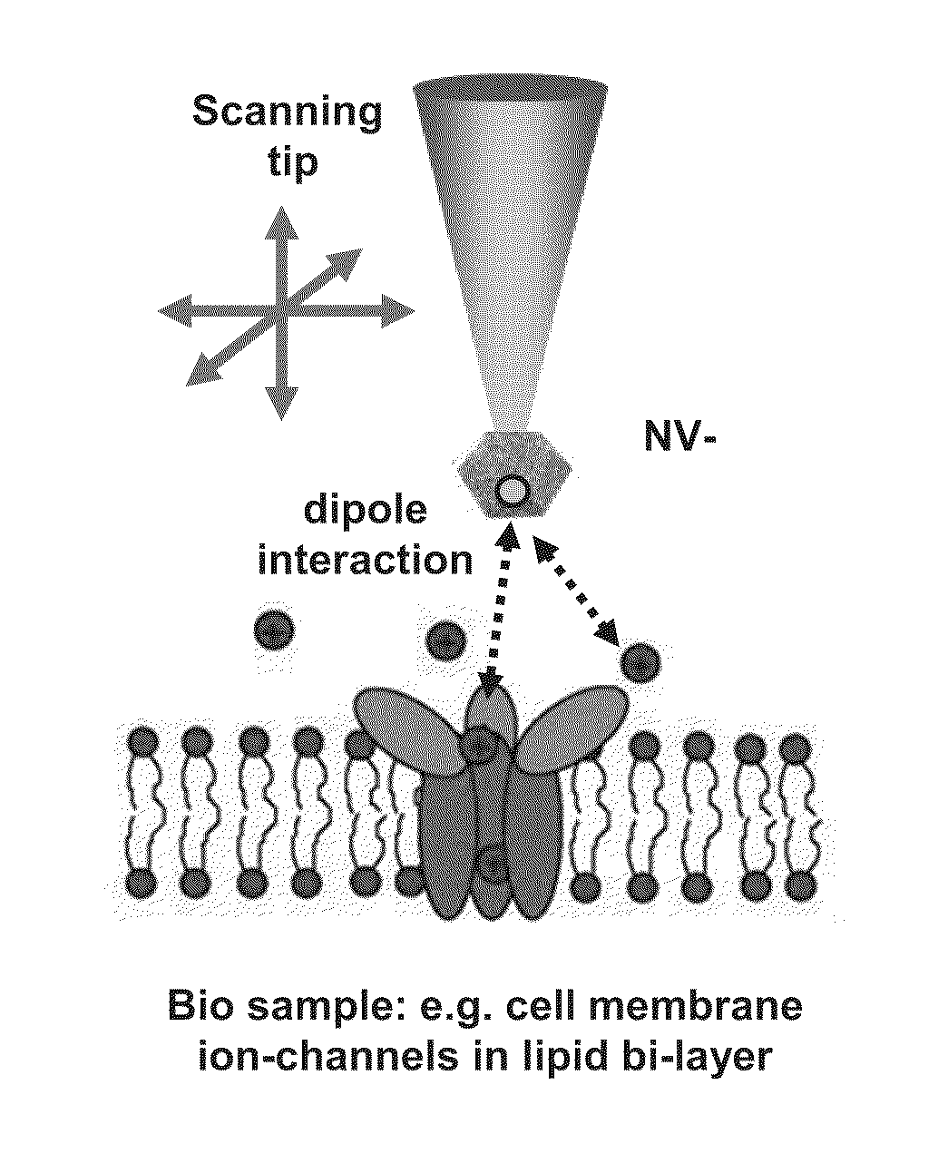 Method and apparatus for monitoring a property of a sample