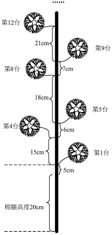 Crop growth state determination method, crop operation method and related device