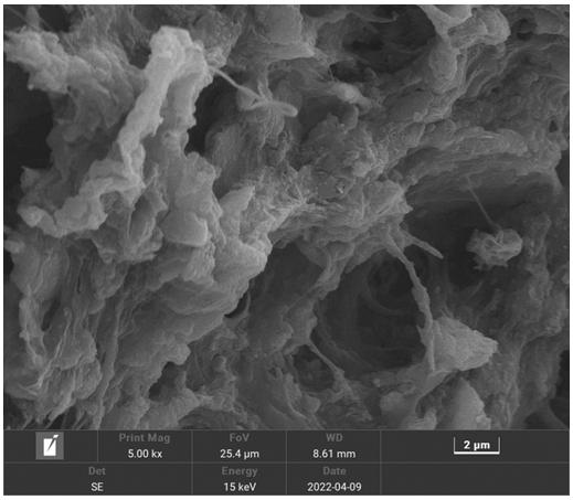 Curing process for municipal dewatered sludge