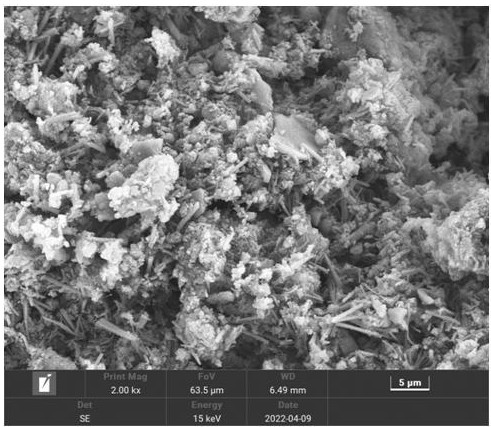 Curing process for municipal dewatered sludge