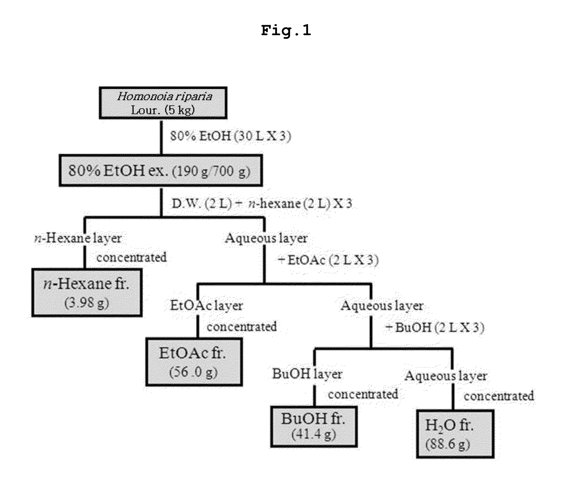 Pharmaceutical composition for preventing and treating complications of diabetes containing a traditional oriental medicine extract or a fraction thereof as an active ingredient