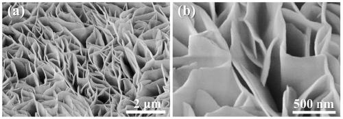 A boron-induced amorphous layered double hydroxide electrocatalyst and its preparation and application