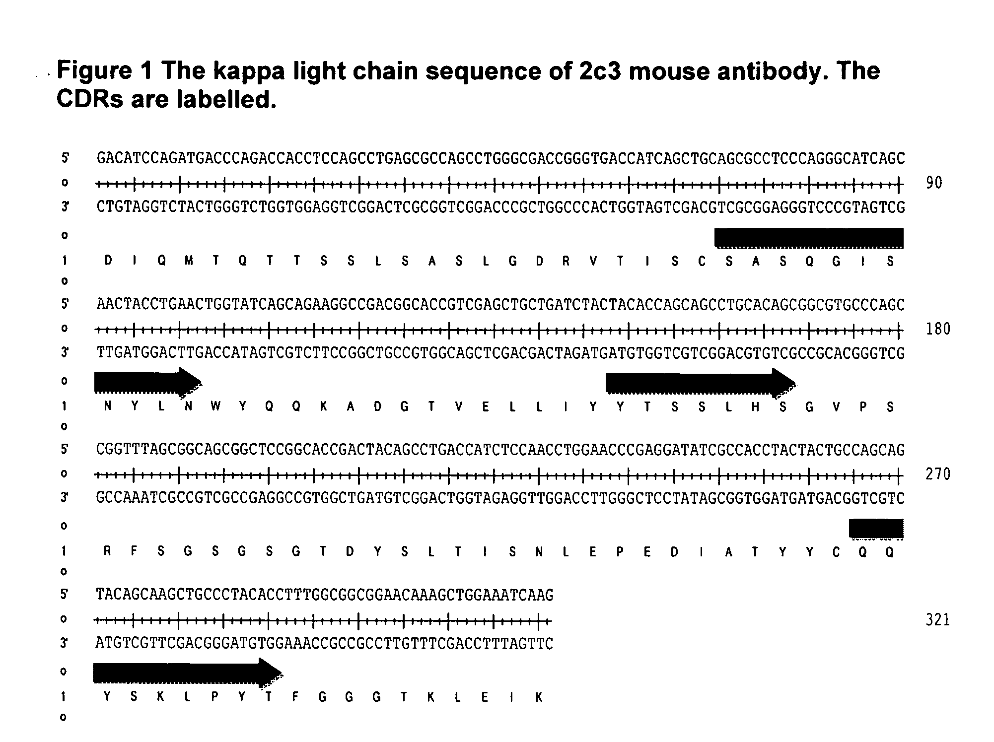 Antibodies Against IL-25