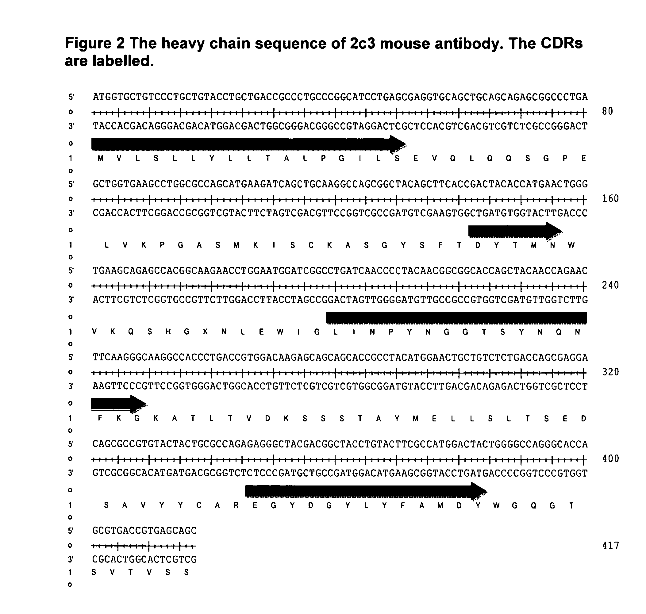 Antibodies Against IL-25