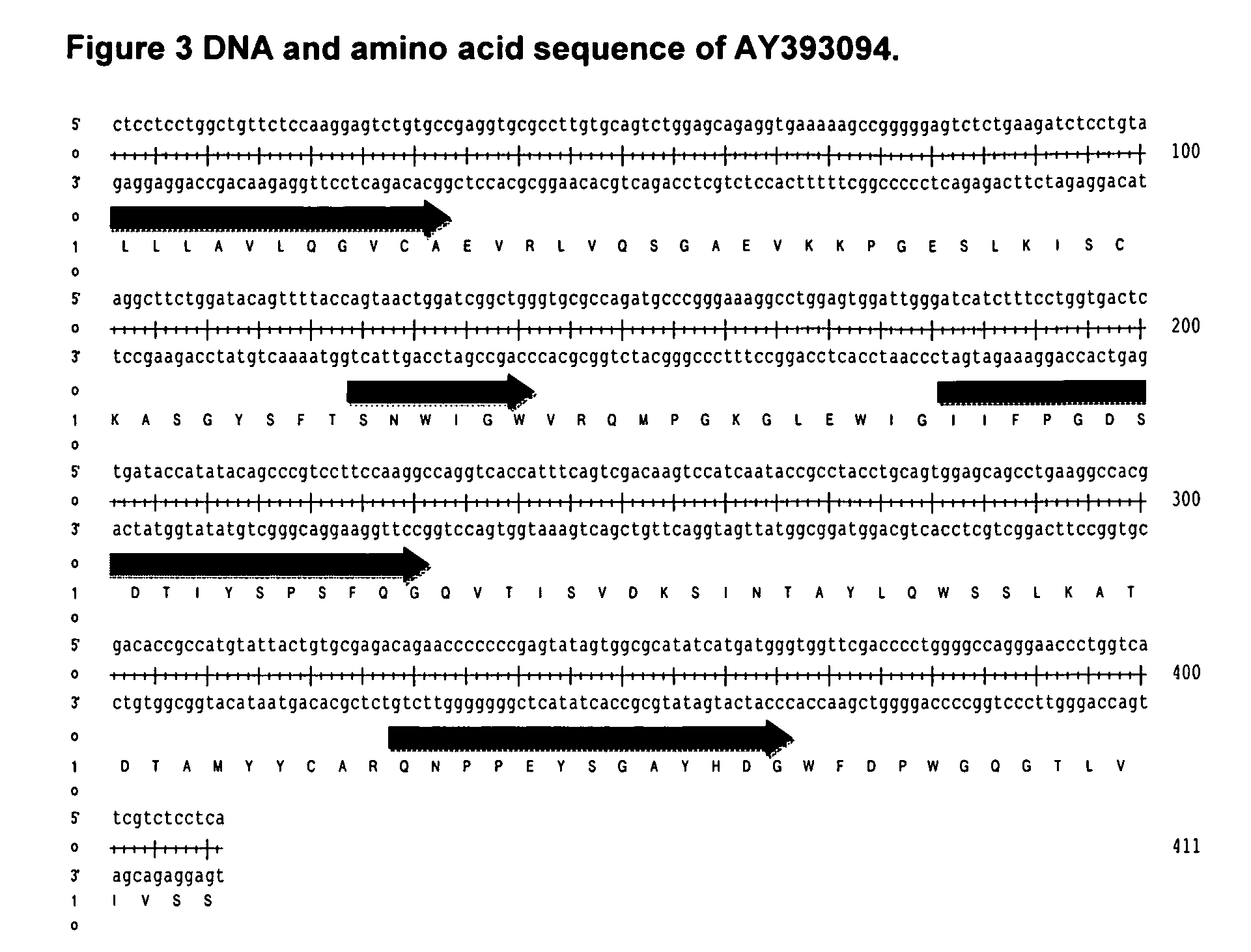 Antibodies Against IL-25