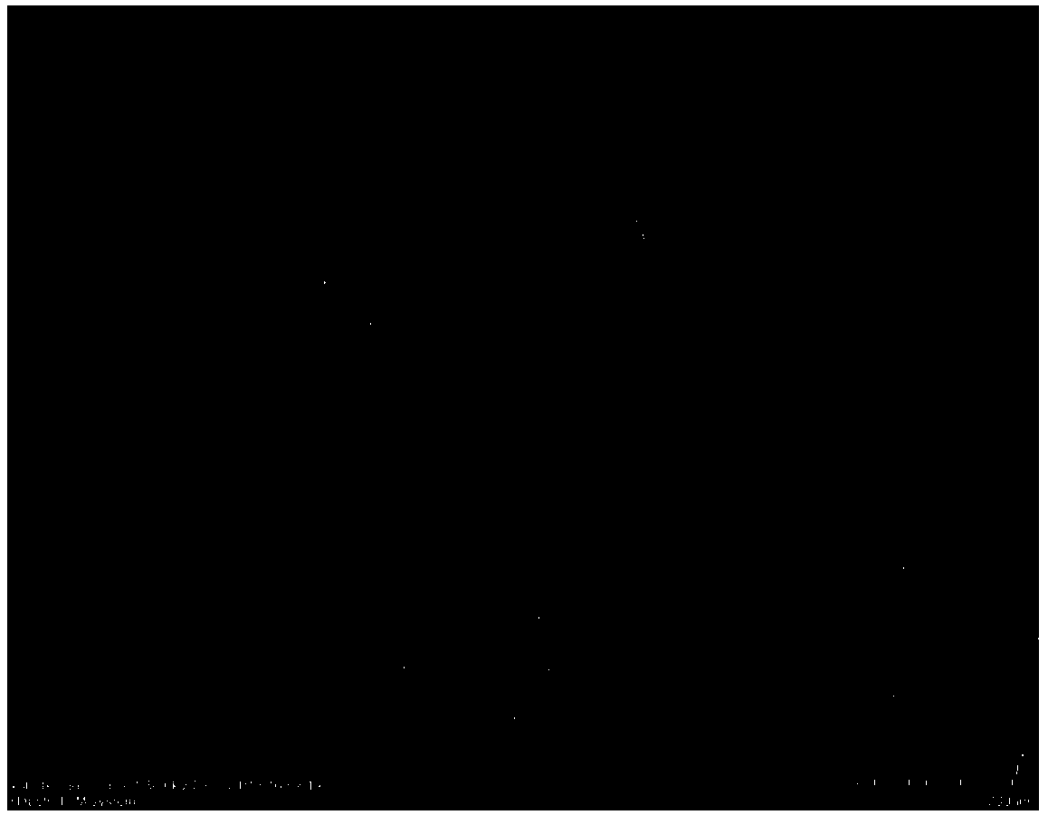 Preparation method of dual-activity monatomic ammonia synthesis catalyst