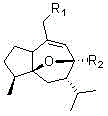 Curcumenol derivatives resisting influenza A(H1N1) virus