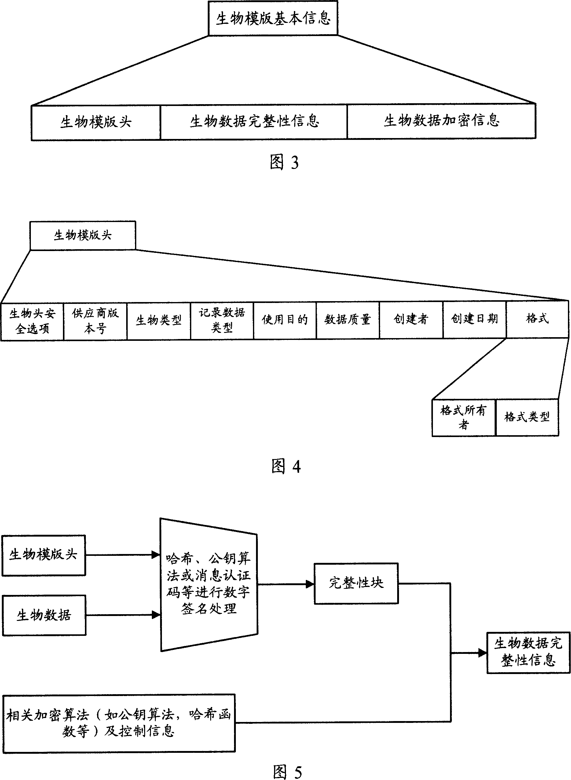 Biological stencil and method to produce biological stencil and identification identifying method