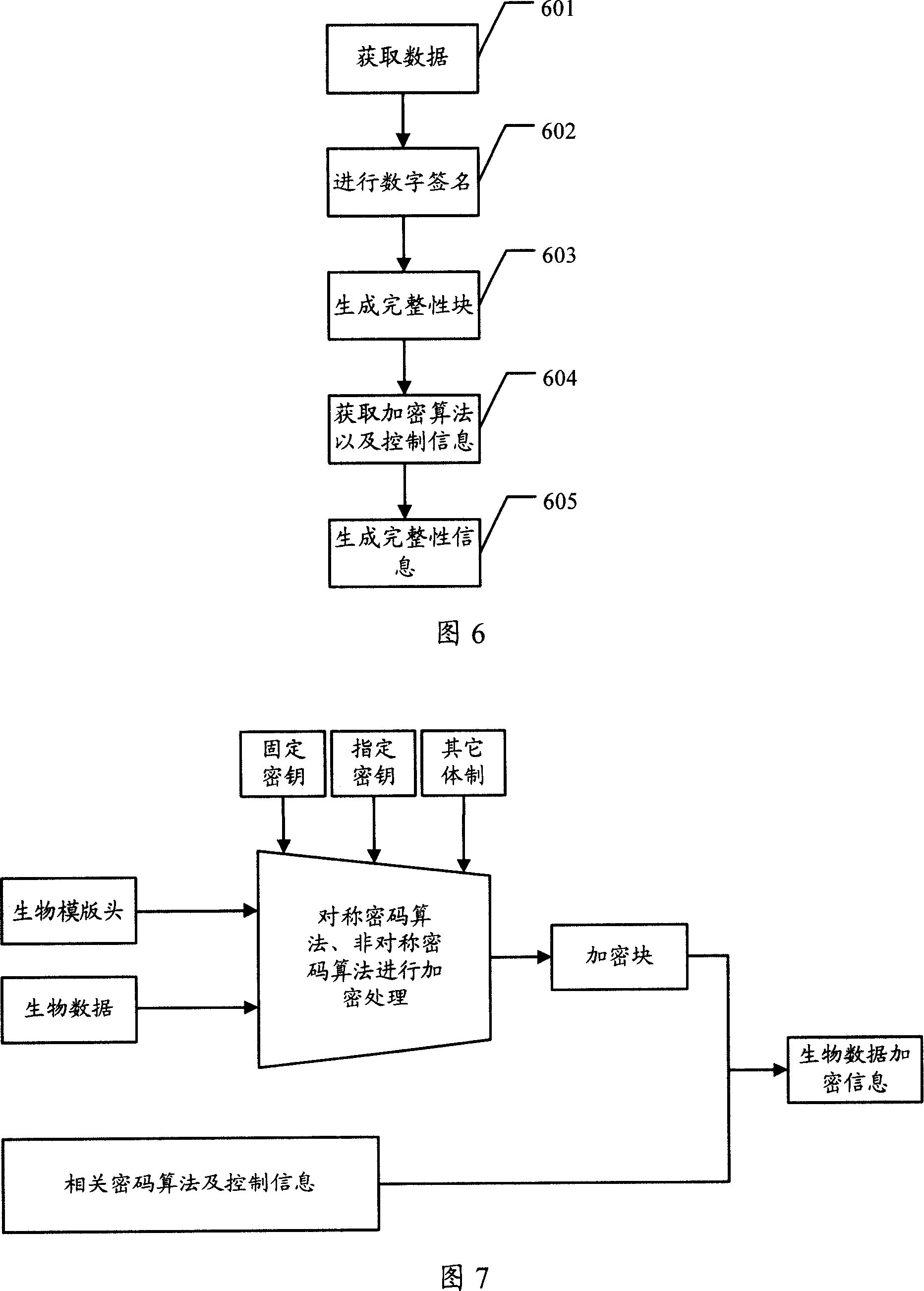 Biological stencil and method to produce biological stencil and identification identifying method