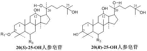 Method for preparing 20-ene25-hydroxy rare ginsenosides and aglycones under catalysis of metal ions