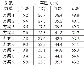 A special fertilizer for betel nut juvenile stage and preparation method thereof