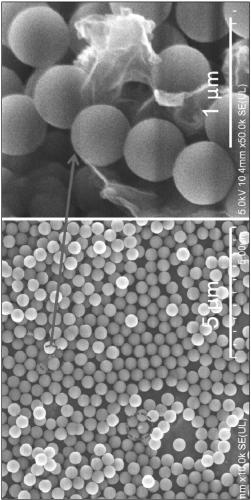 Preparation method of dispersed graphene with bifunctional ligands for coatings