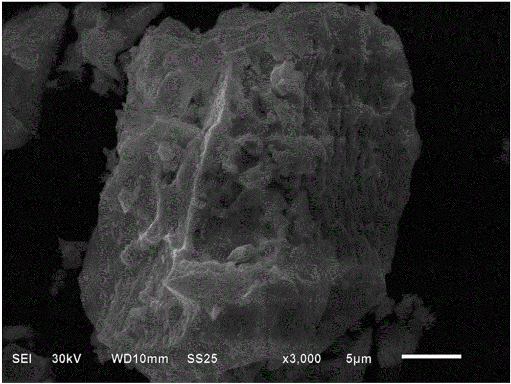 Bismuth ferrite/nickel hydroxide secondary alkali battery and preparation method therefor