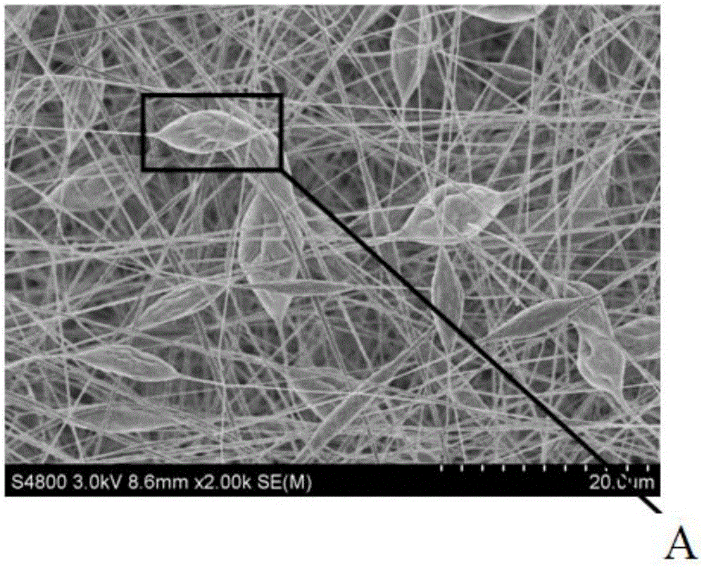 A kind of beaded porous PLA nanofiber and its preparation method and application