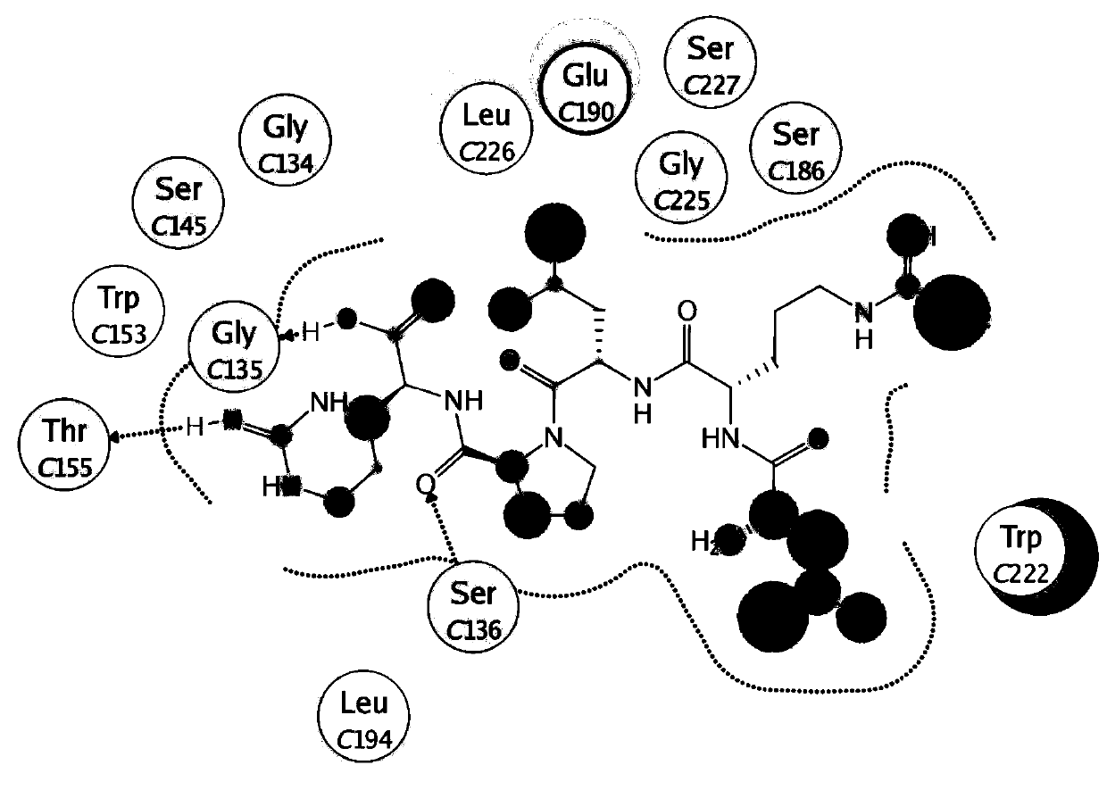 A kind of oligopeptide and its derivative and application