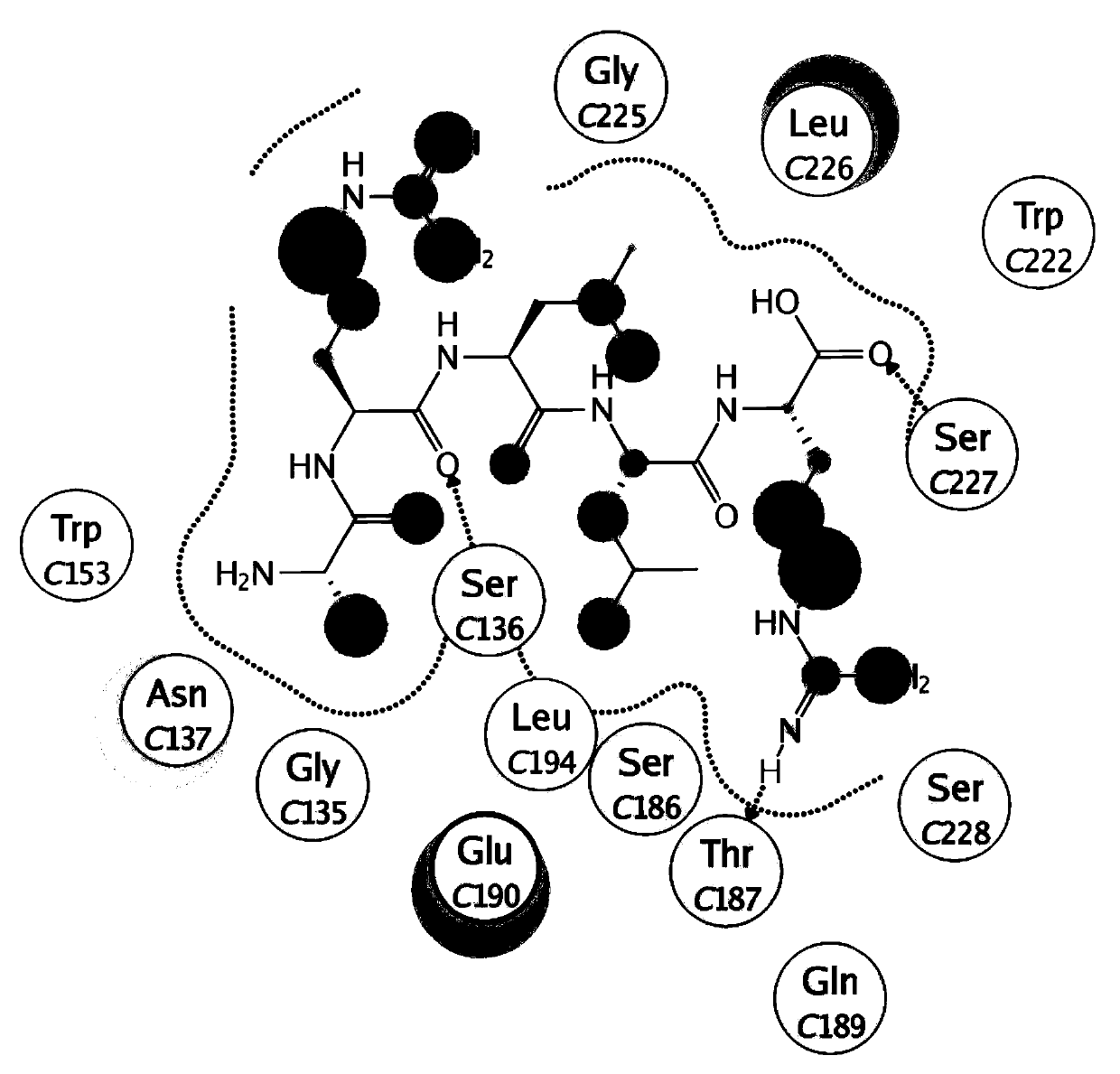 A kind of oligopeptide and its derivative and application