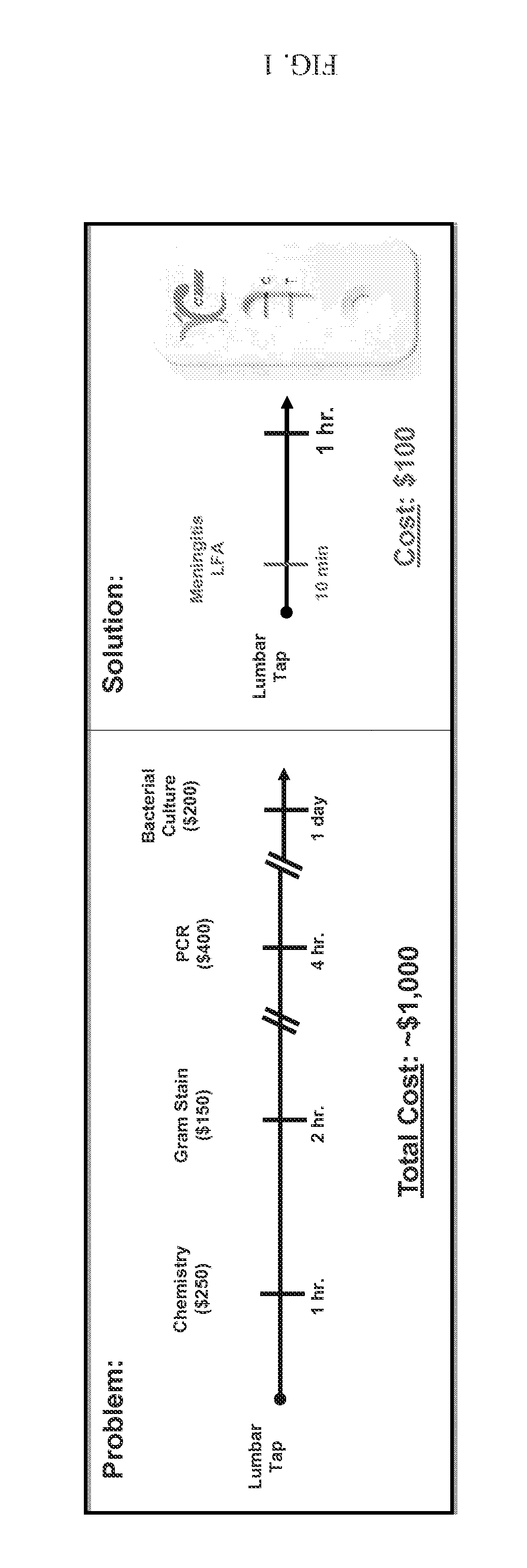 Methods and compositions for diagnosis and treatment of meningitis