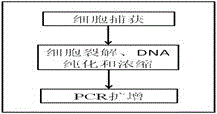 Integrated multifunctional microfluidic chip