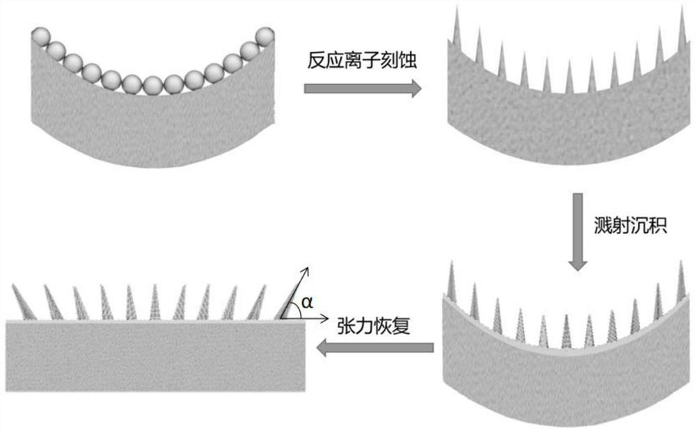 Precious metal nanocone SERS substrate for detecting novel coronavirus and preparation method