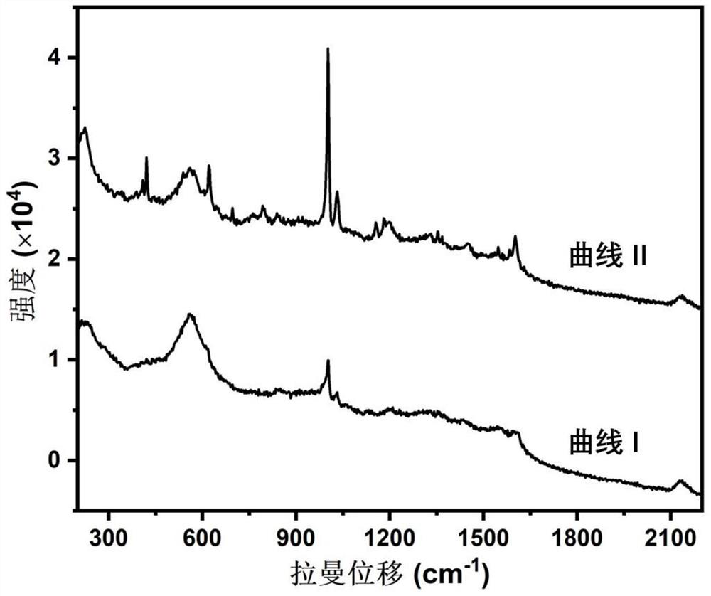 Precious metal nanocone SERS substrate for detecting novel coronavirus and preparation method