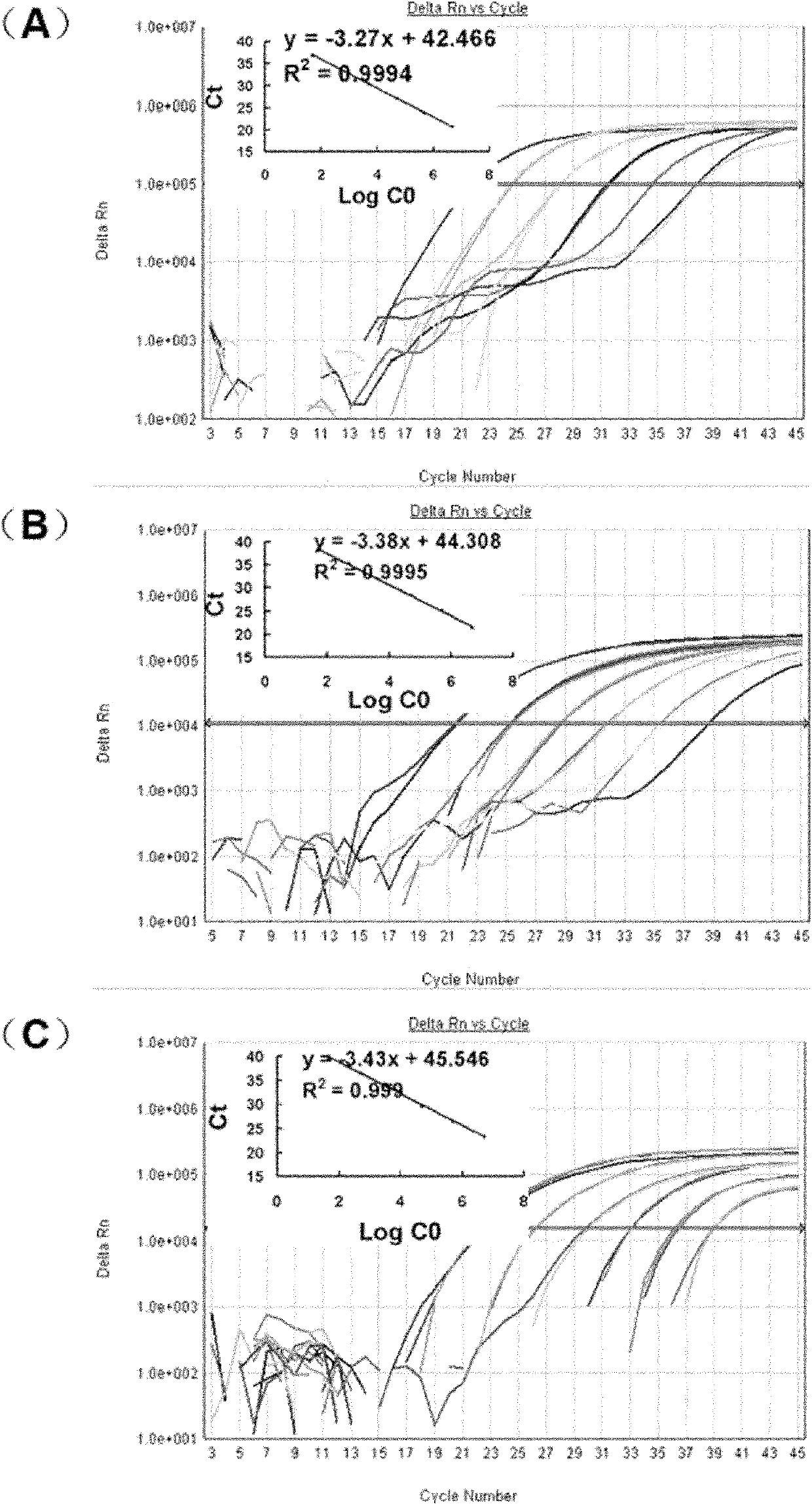 Reference molecule for specifically detecting genetically modified rapeseed RT73 and application of reference molecule