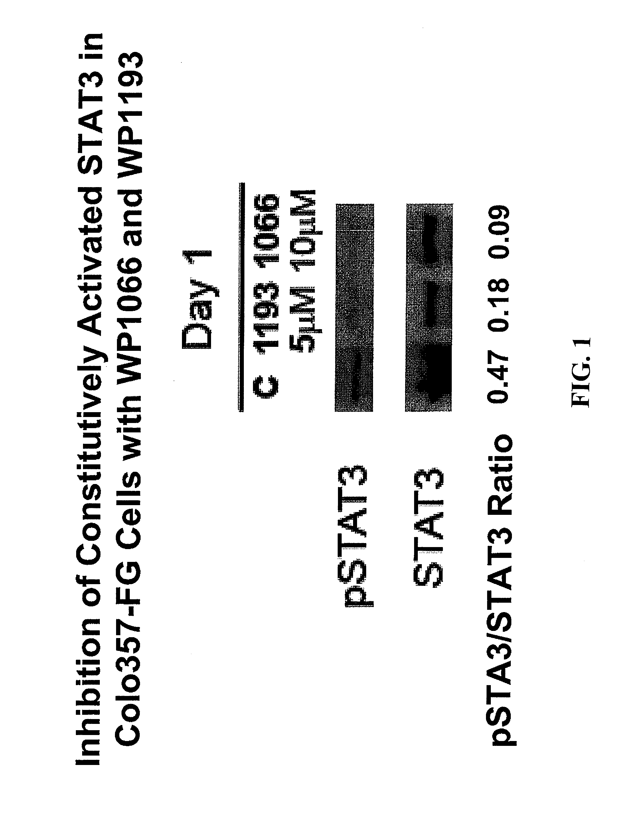 Orally bioavailable caffeic acid related anticancer drugs