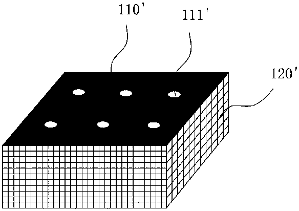 Rabbitfish siganus oramin artificial propagation method