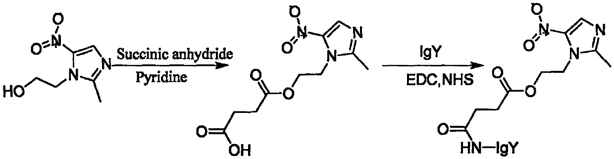 Chicken IgY bifunctional antibody for treating helicobacter pylori