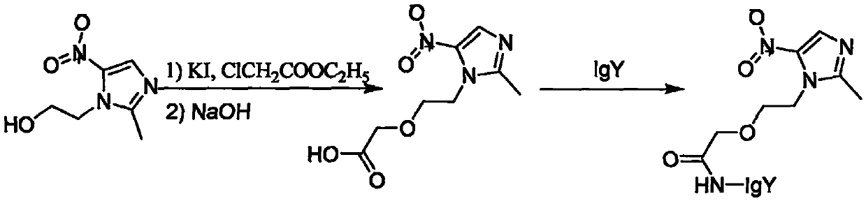 Chicken IgY bifunctional antibody for treating helicobacter pylori