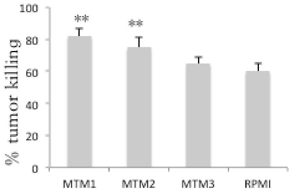 An improved rpmi1640 medium and its application