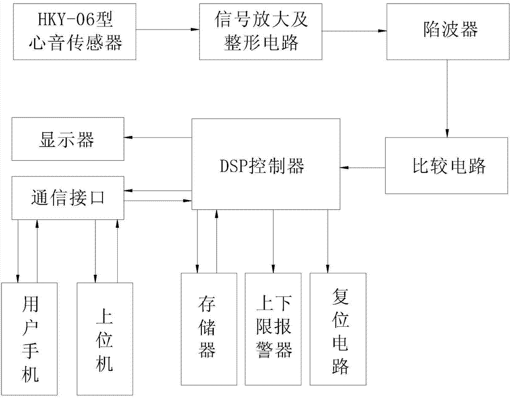 DSP-based heart rate measurement device