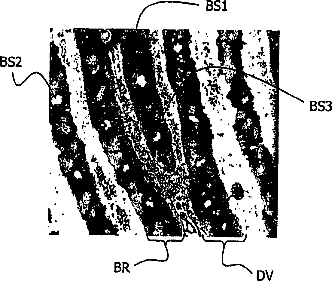 Biometrical identification device