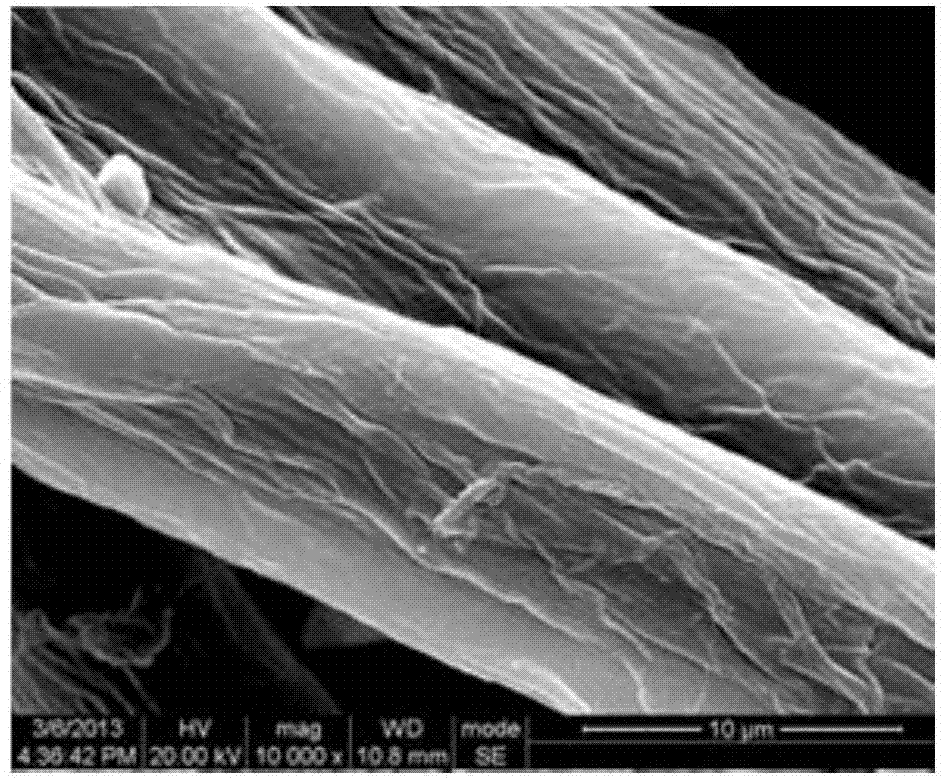 Cellulose nanofiber hyperbranched modification method