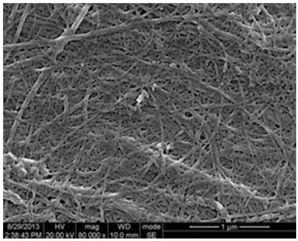 Cellulose nanofiber hyperbranched modification method