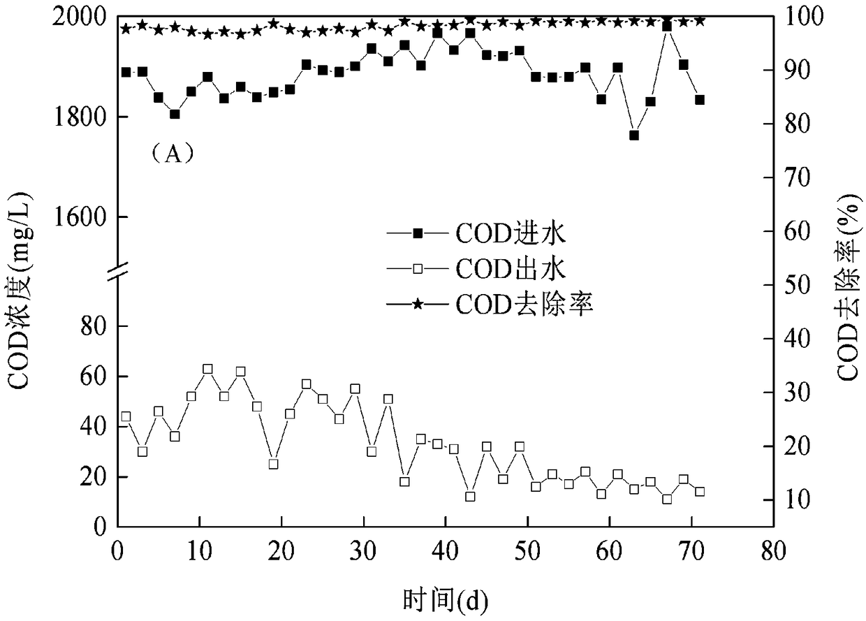 Denitrification and decarbonizing treatment system and method of landfill leachate in late period