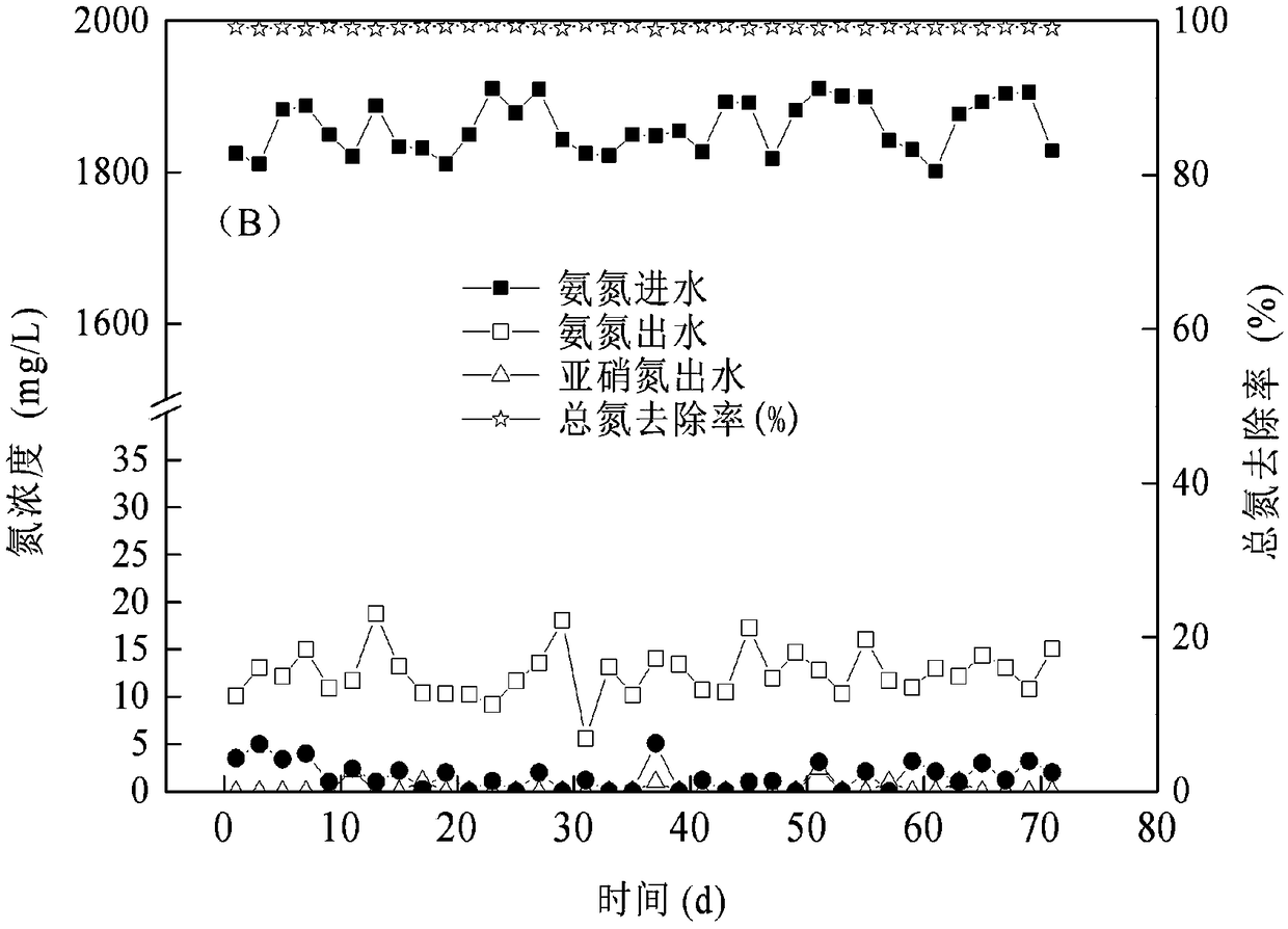 Denitrification and decarbonizing treatment system and method of landfill leachate in late period