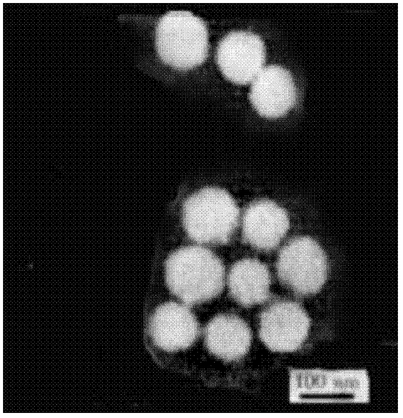 Valnemulin hydrochloride self-emulsified oral nano emulsion for veterinary use and preparation method thereof