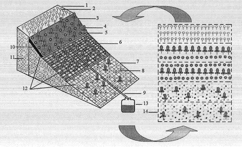 Method of cyclic sustainable vegetation recovery for waste dump of grassland mining area