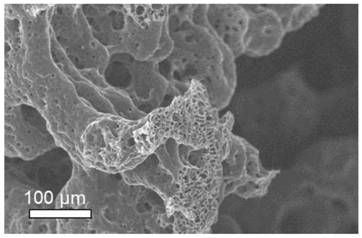 Method for preparing nitrogen-doped multi-dimensional hierarchical porous carbon material adaptive to sulfur positive electrode carrier of aluminum-sulfur battery