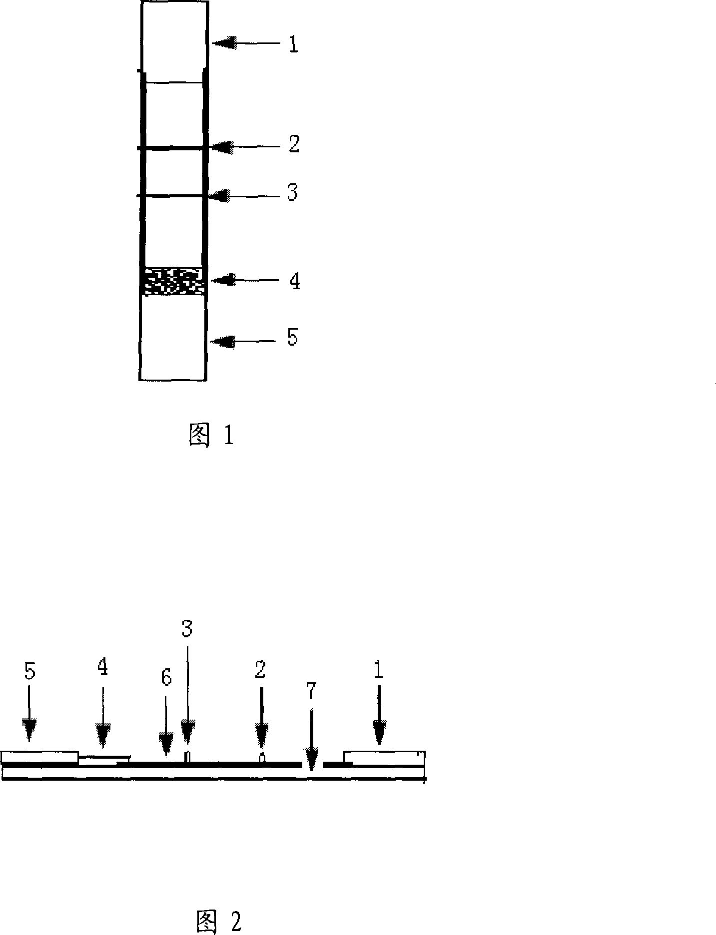 Test paper for diagnosing premature rupture of fetal membrane and reagent kit