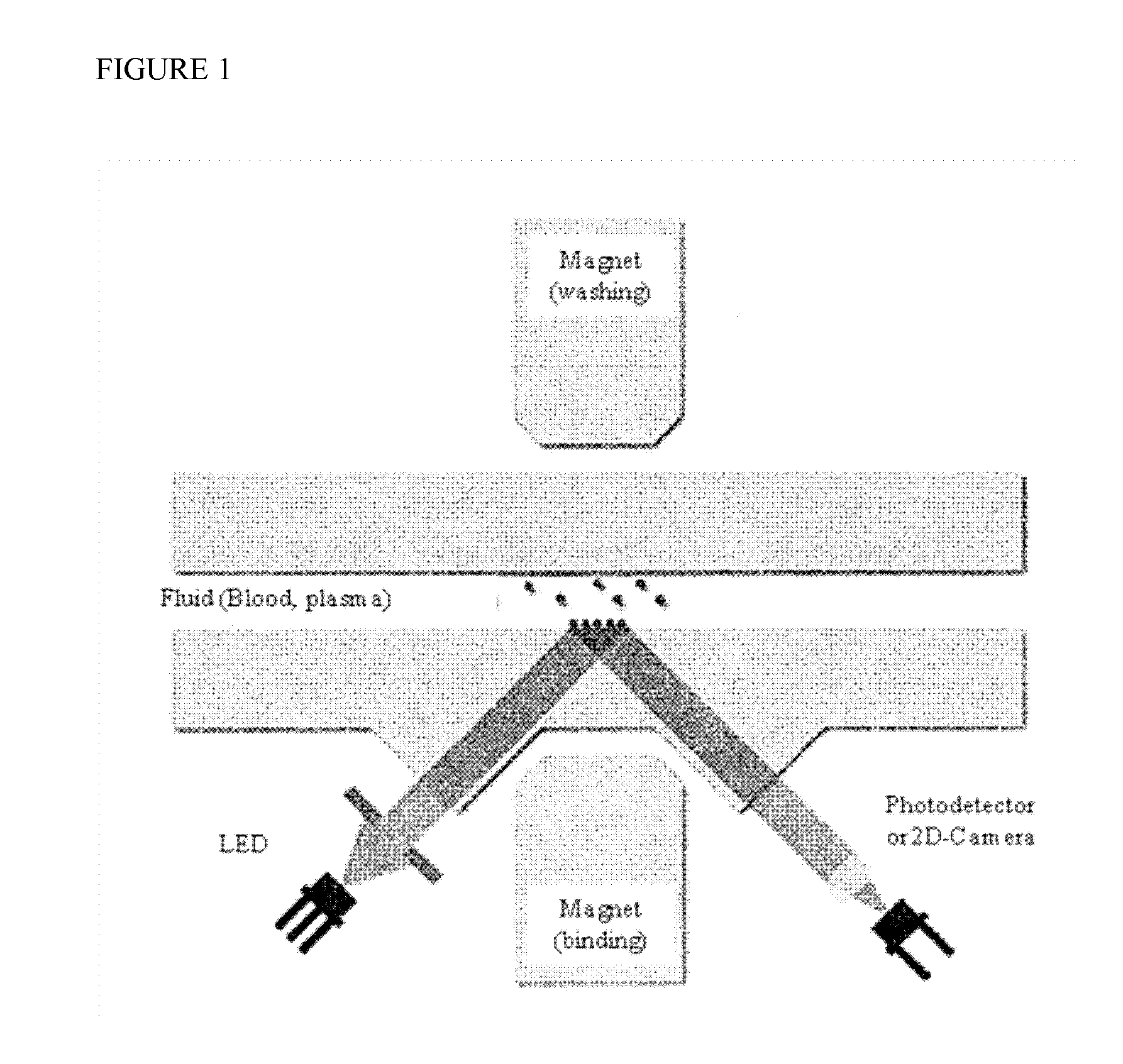 Method for detection of coagulation activity and biomarkers