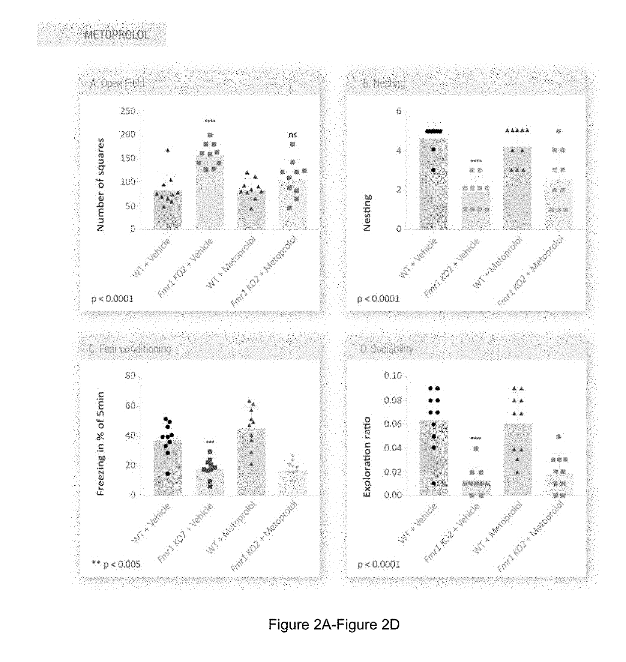 Kit, composition, and combination therapy for fragile x syndrome