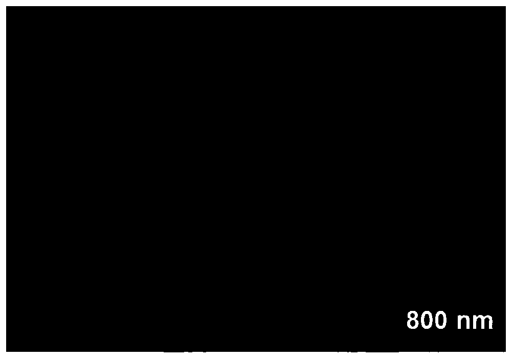 Method for preparing molybdenum disulfide/silver nano-immune substrate material, and repeatable immunodetection application thereof