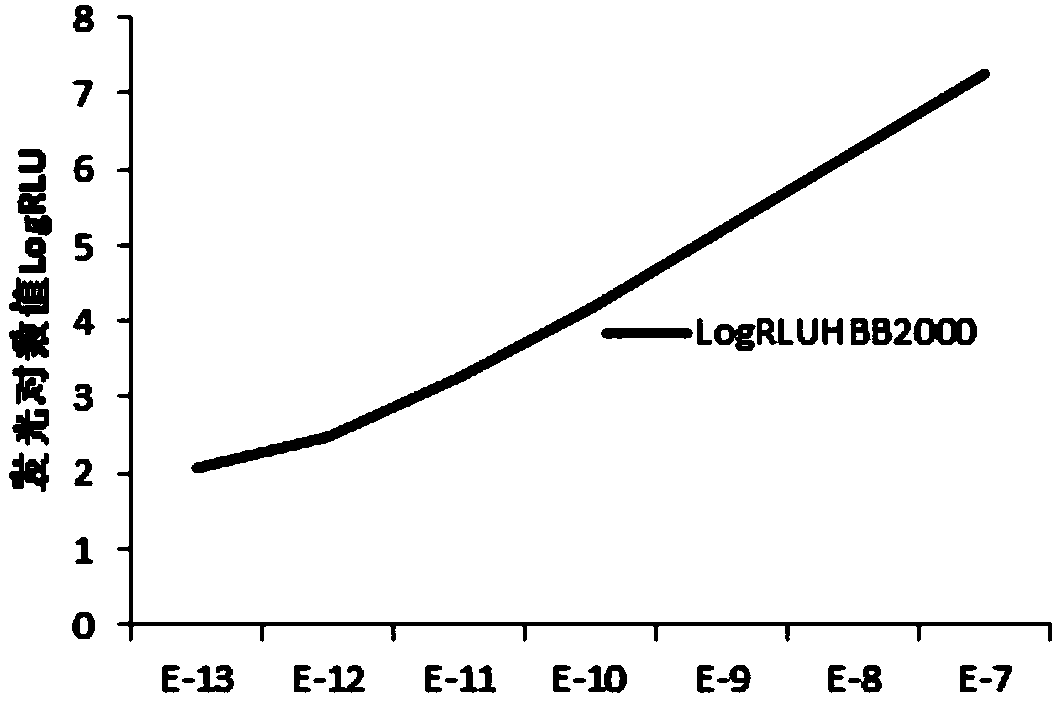 Adenosine triphosphate (ATP) bioluminescent reagent for detecting hygienic quality of drinking water and surface sanitation of GMP factory, method and kit