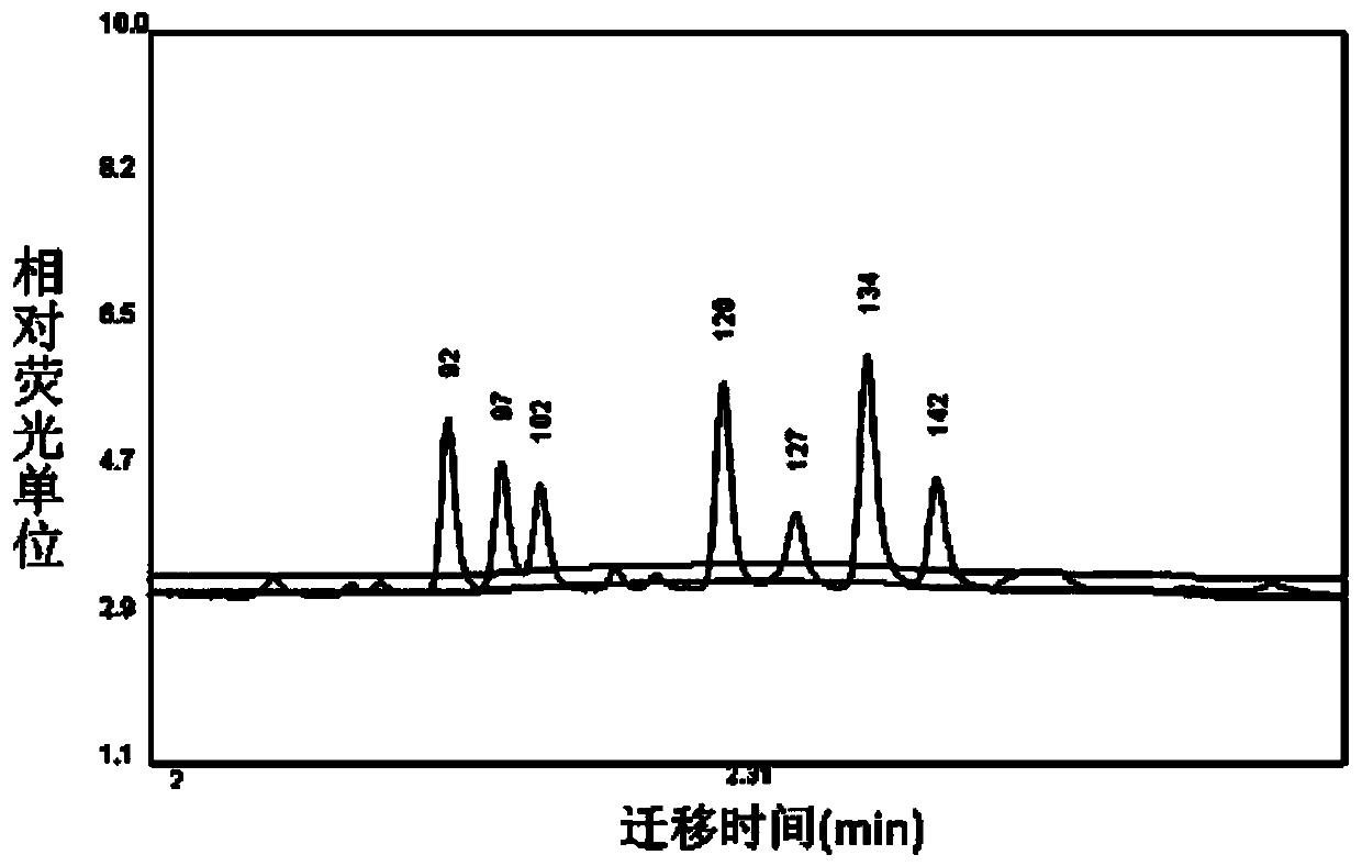 Multi-linkage probe amplification identification kit capable of detecting a plurality of avian respiratory pathogens