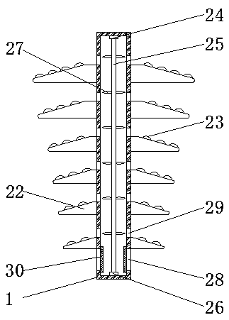 A pollution-resistant porcelain insulator