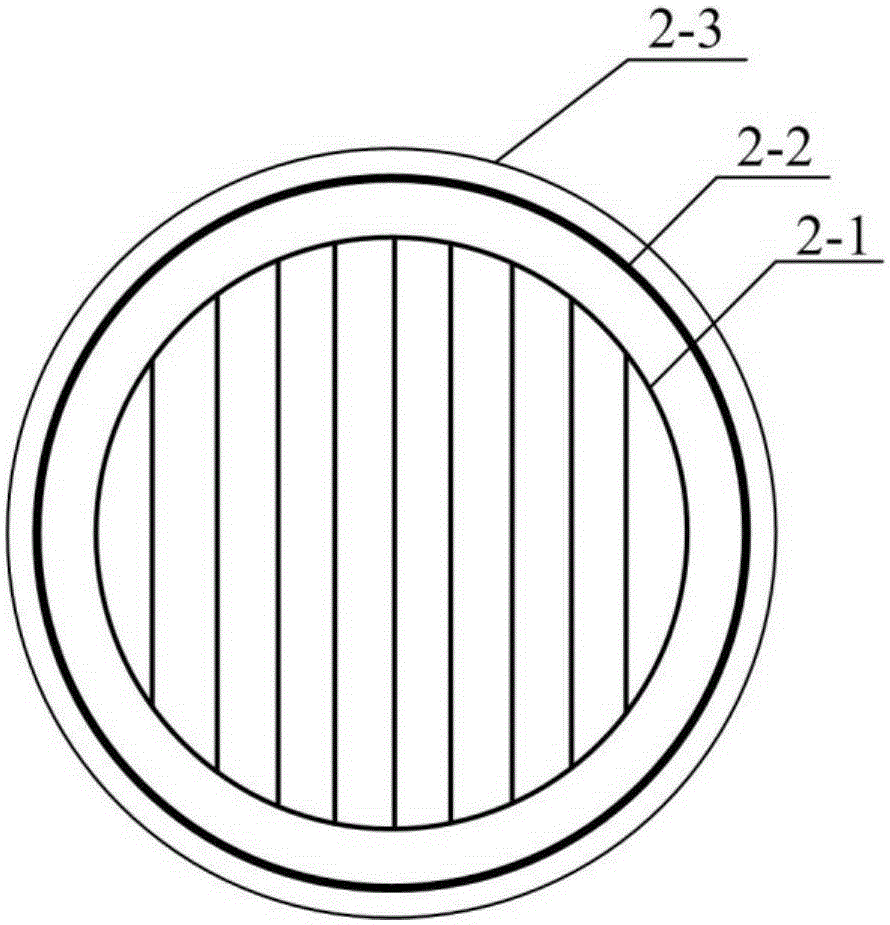 Epidural press-on prism and assembling method thereof